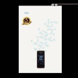燃氣熱水器 GH1690