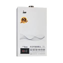 數位恆溫強制排氣熱水器 GH1650