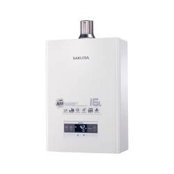 16L 四季溫智慧水量熱水器 DH1670F