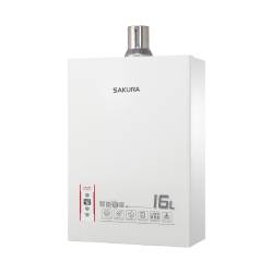 16L 智能恆溫熱水器 DH1603A